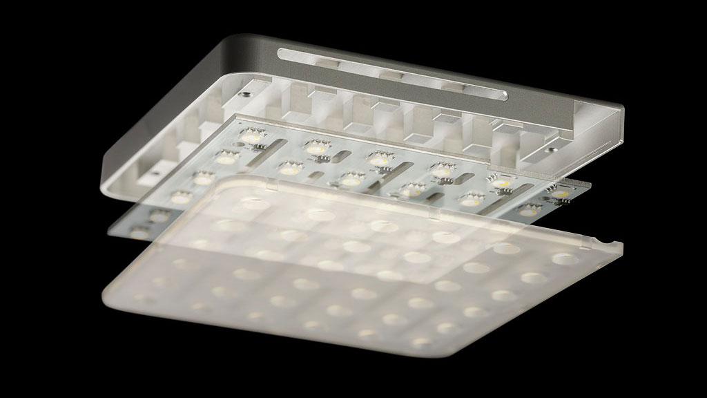 roxxane cool head explos